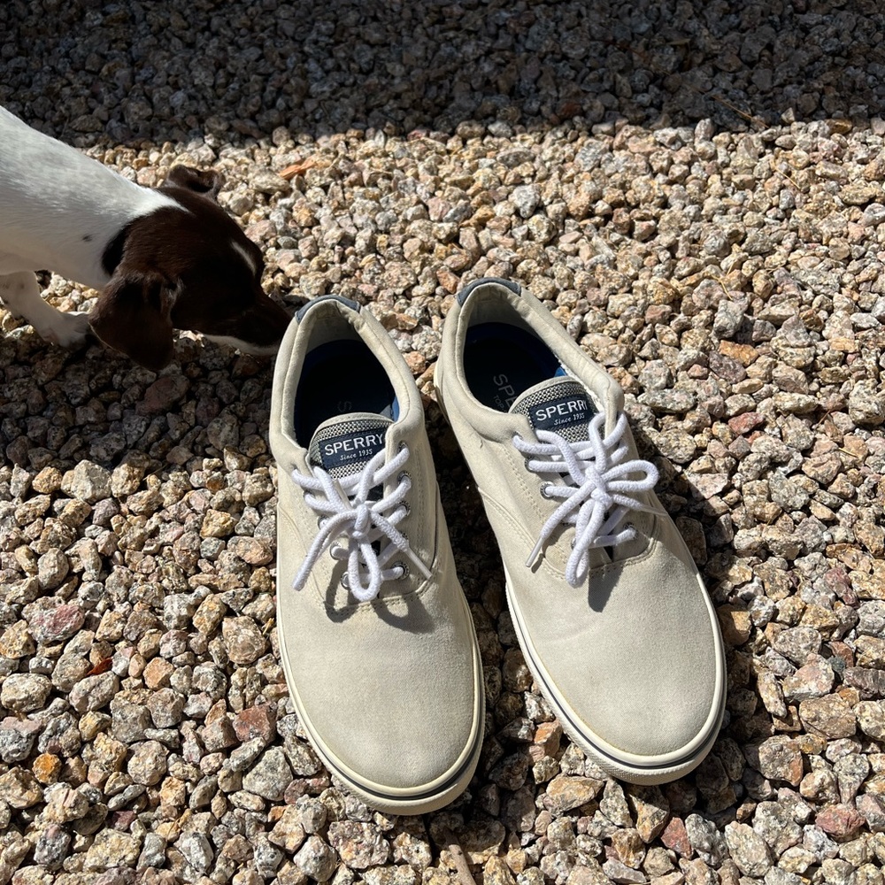 Sperry Top Siders